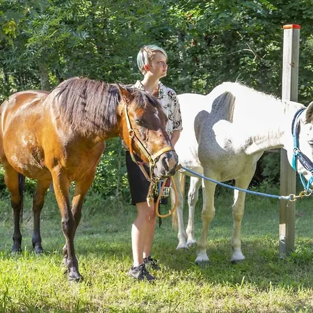 Campingplads Accueillant Animaux - 6 Pers. - Api-1-52-2330